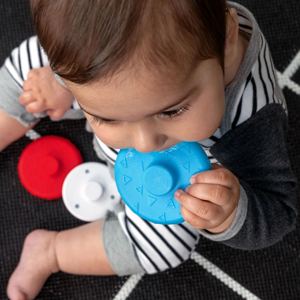 Baby Einstein - Jucarie zornaitoare si dentitie Zen, fara BPA
