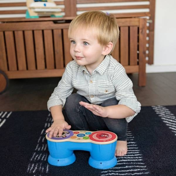 Jucarie Muzicala Tobe Hape Magic Touch, Baby Einstein