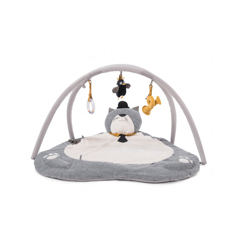 Centru de activitati cu saltea, Mustaciosul Fernand, 0 ani+, Moulin Roty