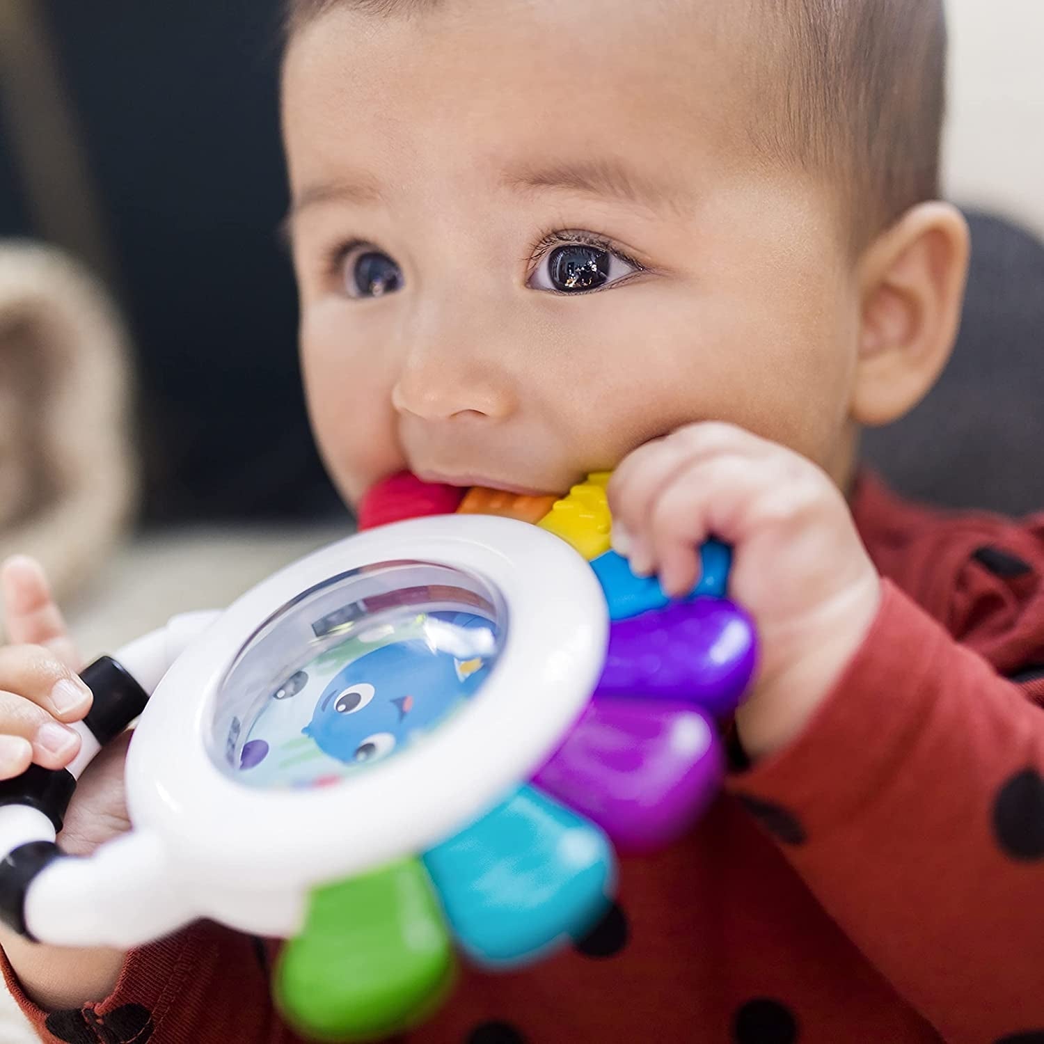 Jucarie Multisenzoriala de Dentitie Caracatita vesela, Baby Einstein