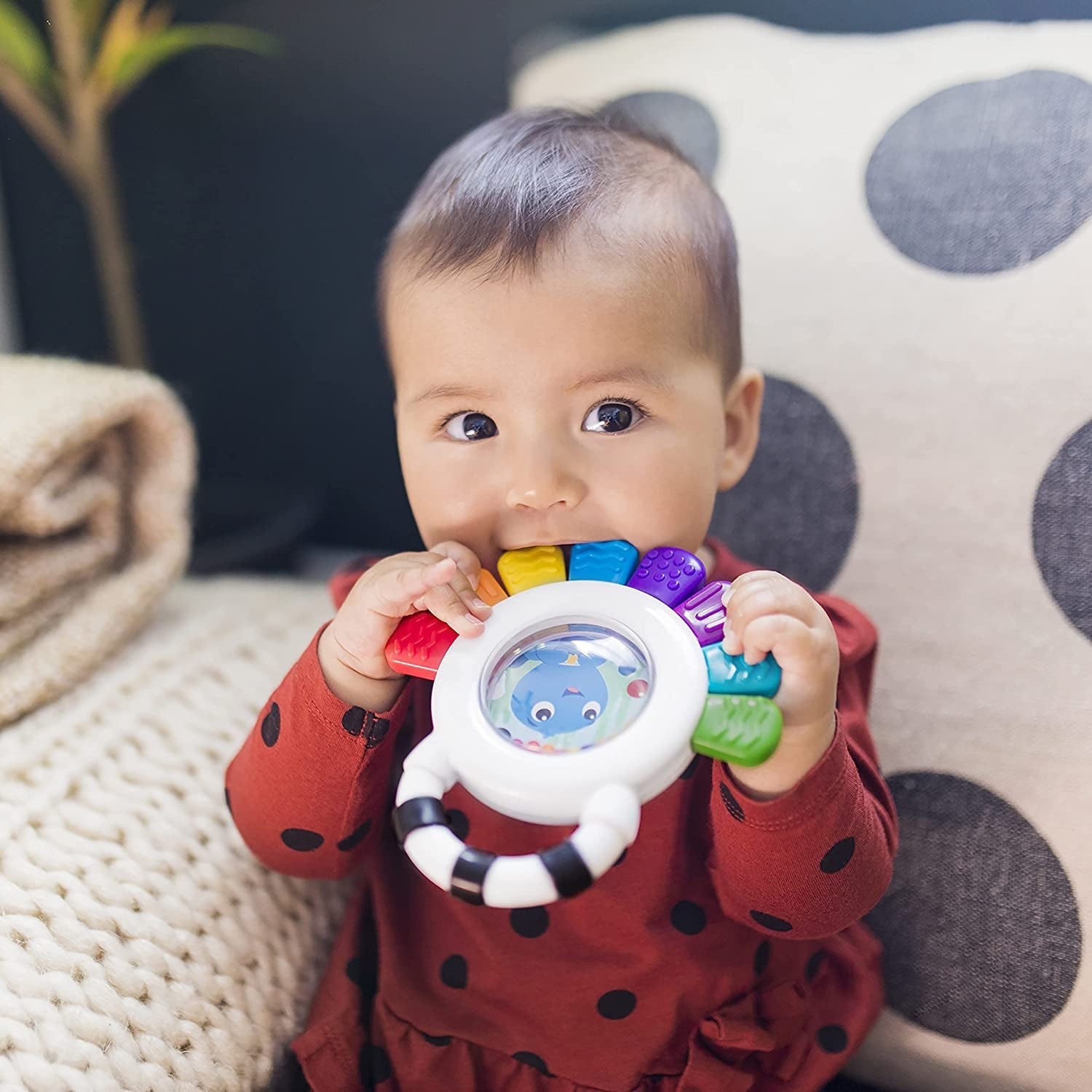 Jucarie Multisenzoriala de Dentitie Caracatita vesela, Baby Einstein
