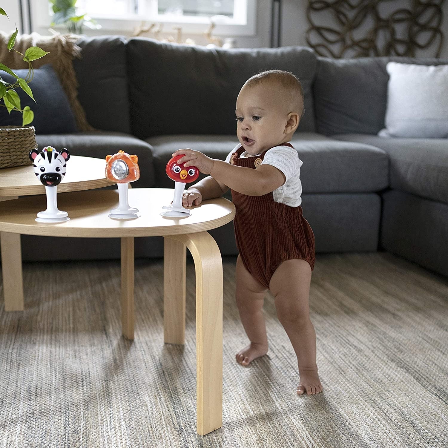Set 3 Jucarii Multisenzoriale in Forma de Animalute, Baby Einstein