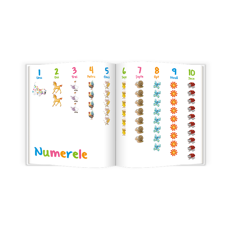 Pupo invata sa numere, Mirabela Les