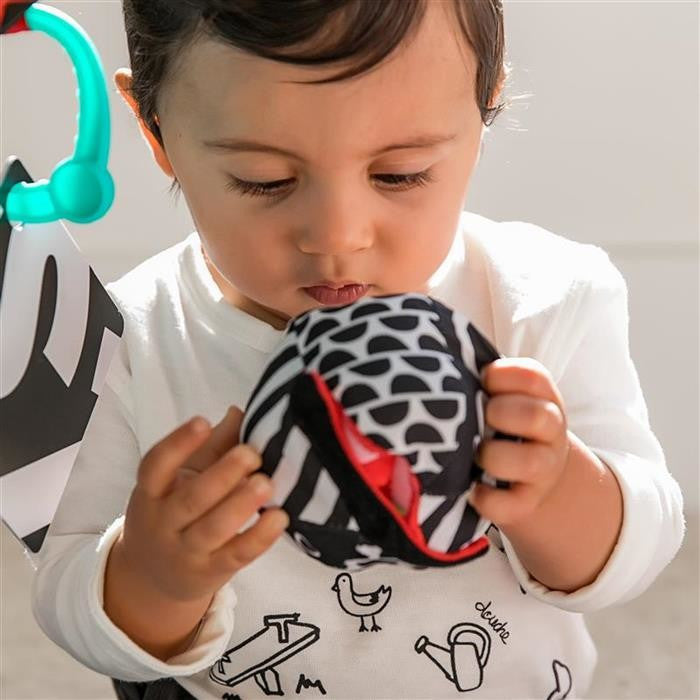 Salteluta de activitati Bold New World, Baby Einstein