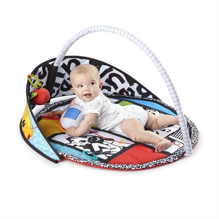 Salteluta de activitati Bold New World, Baby Einstein
