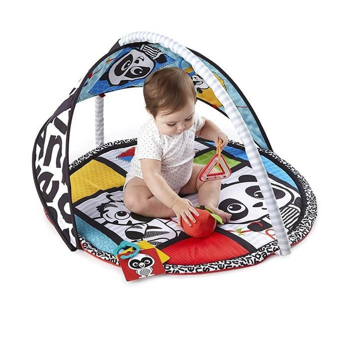 Salteluta de activitati Bold New World, Baby Einstein