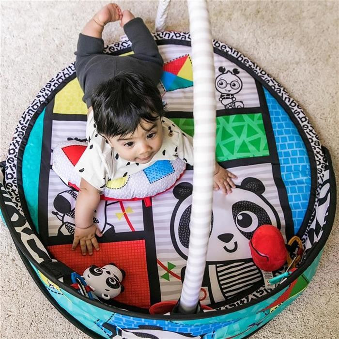 Salteluta de activitati Bold New World, Baby Einstein