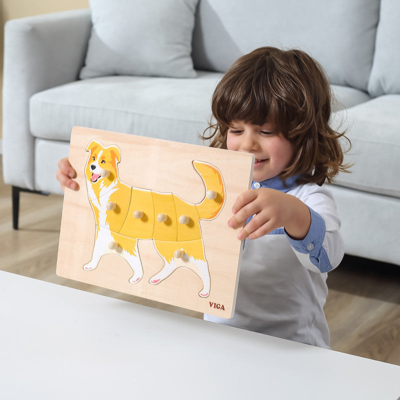 Puzzle Montessori, Catel, VIGA