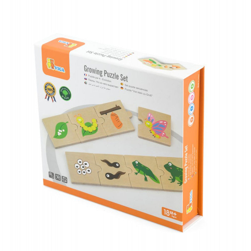 Puzzle sortator - Evolutie, VIGA