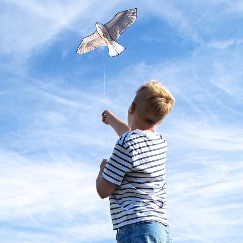 Zmeu vultur Terra Kids, Haba